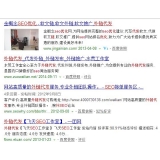 长清朱安安：SEO外链代发行业大揭密